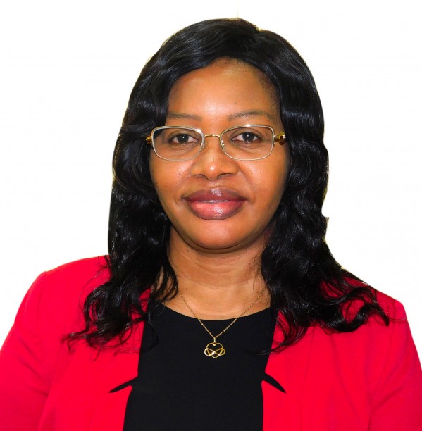 Sous-Directeur attaché au PCA