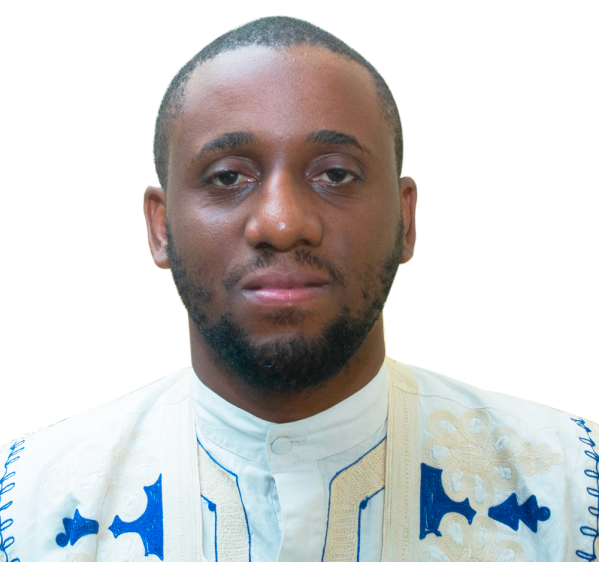 Chef de la Division des Systèmes d’Information